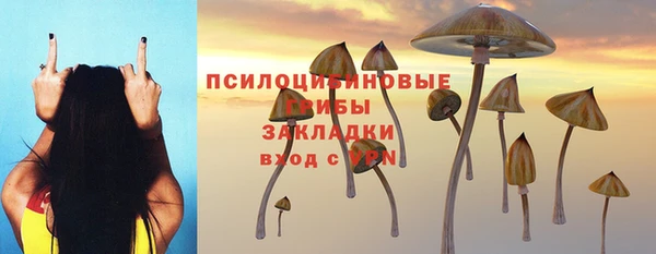 стаф Бронницы