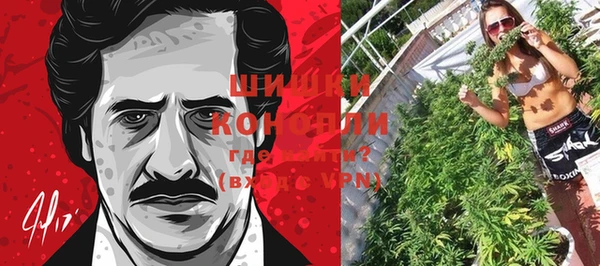 прущая мука Богородск