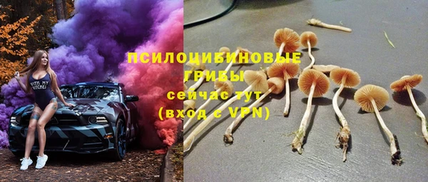 spice Бугульма