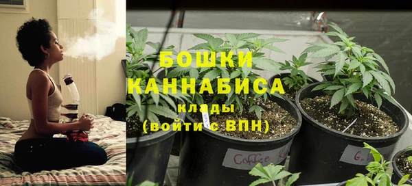 прущая мука Богородск
