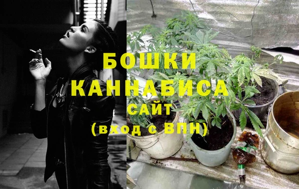 мет Бородино