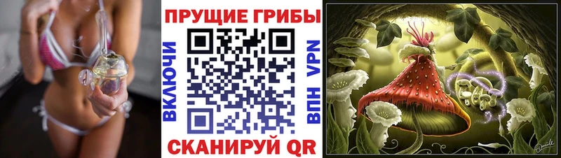 Галлюциногенные грибы Magic Shrooms  Дагестанские Огни 
