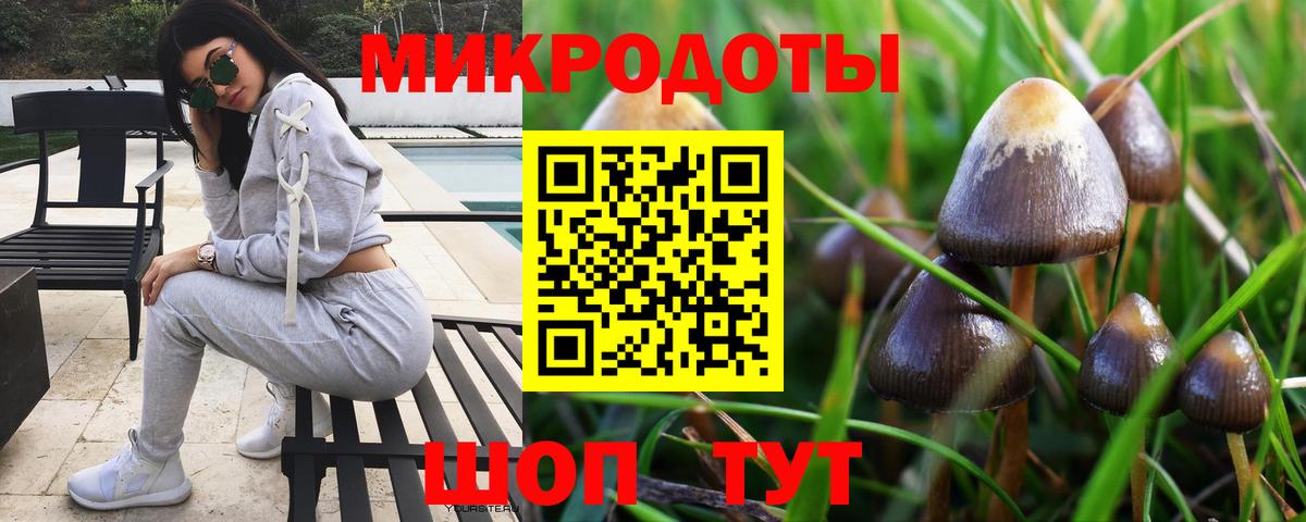 даркнет сайт  Вход с VPN  Дагестанские Огни  Галлюциногенные грибы Cubensis 
