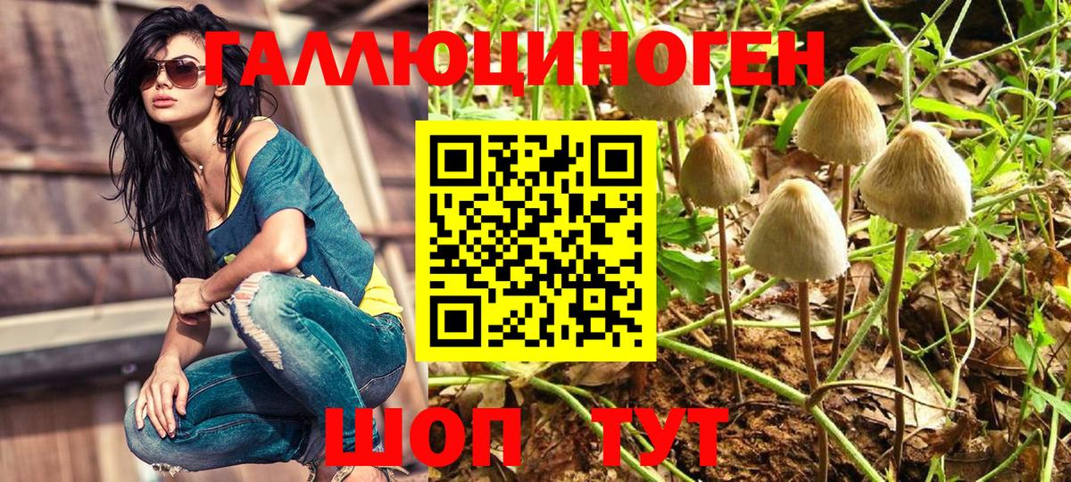 МАРИХУАНА Дагестанские Огни